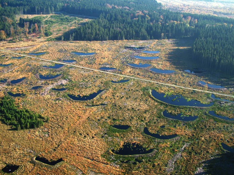 Vue aérienne du Plateau des Tailles (Fagne de la Goutte)