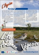 Agrion4