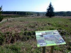 200705 MD Plateau Saint-Hubert ZHIB Vallée de la Basseille