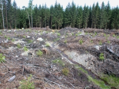 2008_06_19_MD_Drainage_Ri_D_Oneux