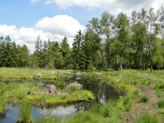 Développement des processus de stockage de carbone à Hourchamps (2009)