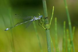 20100721 049.JPG 20100721 049.JPG