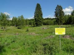 2010_06_Terrain_MD_0126.jpg 2010_06_Terrain_MD_0126.jpg