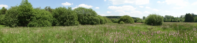 2010_06_Terrain_MD_0193.jpg 2010_06_Terrain_MD_0193.jpg