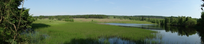 2010_06_Terrain_MD_0236.jpg 2010_06_Terrain_MD_0236.jpg