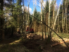 2018_04 (1)