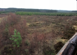 2018_04 (3)