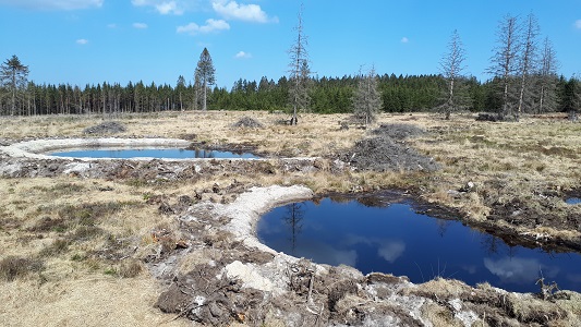 20190401_Tapeu_Digues_LL (4)