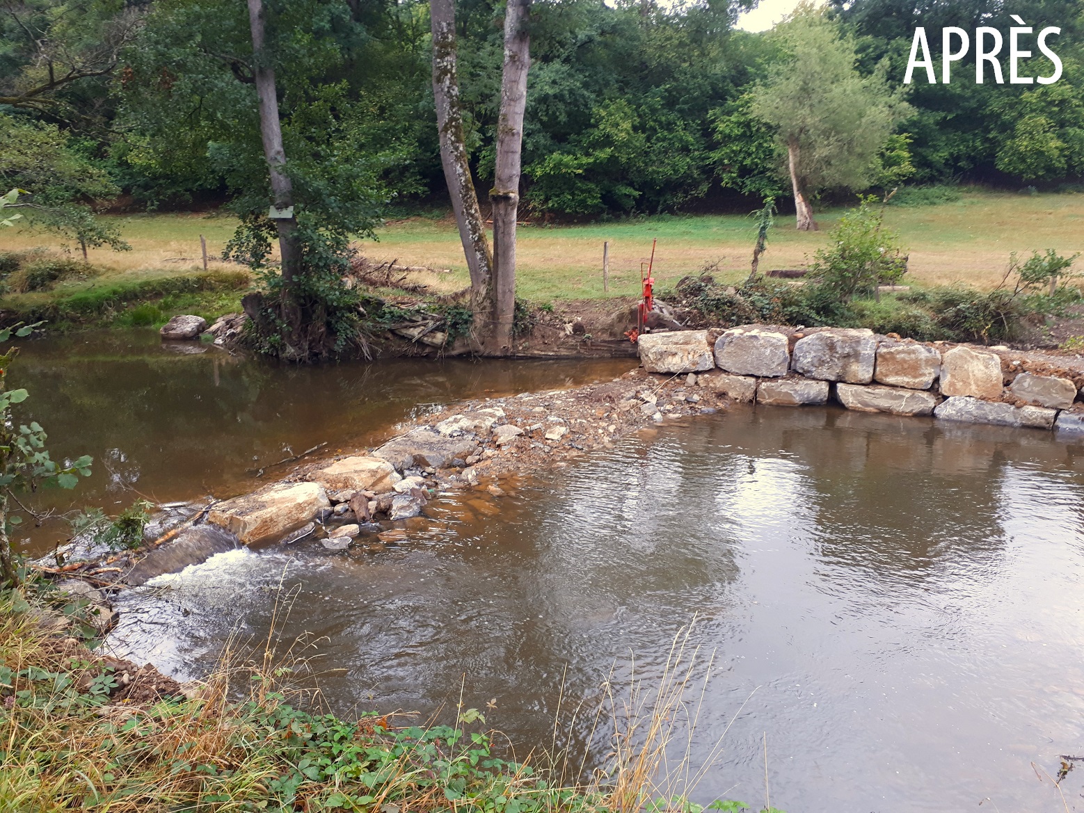 20220909_084915_copie