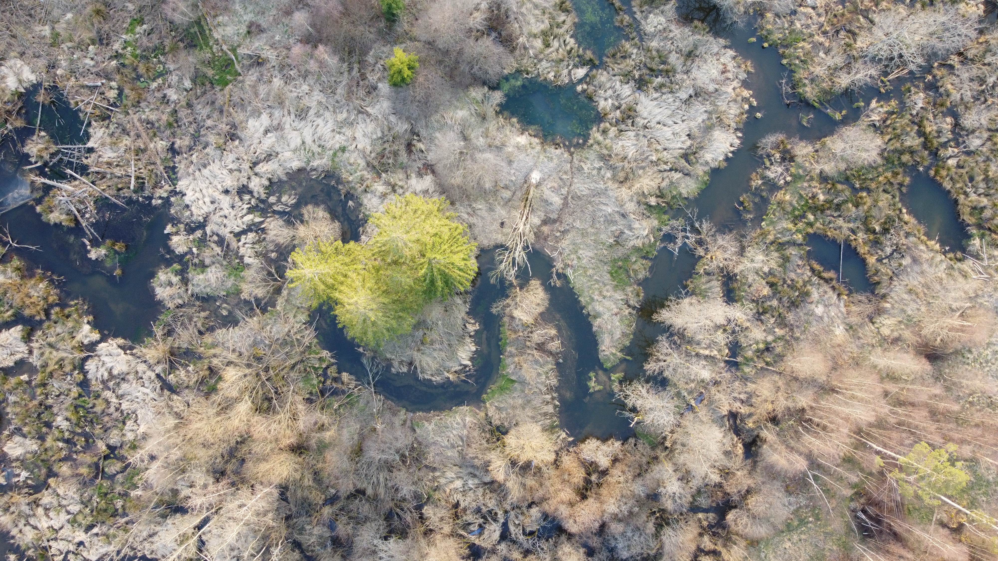 34020_Le_Glain_Courtil_LL_20220321 (8)