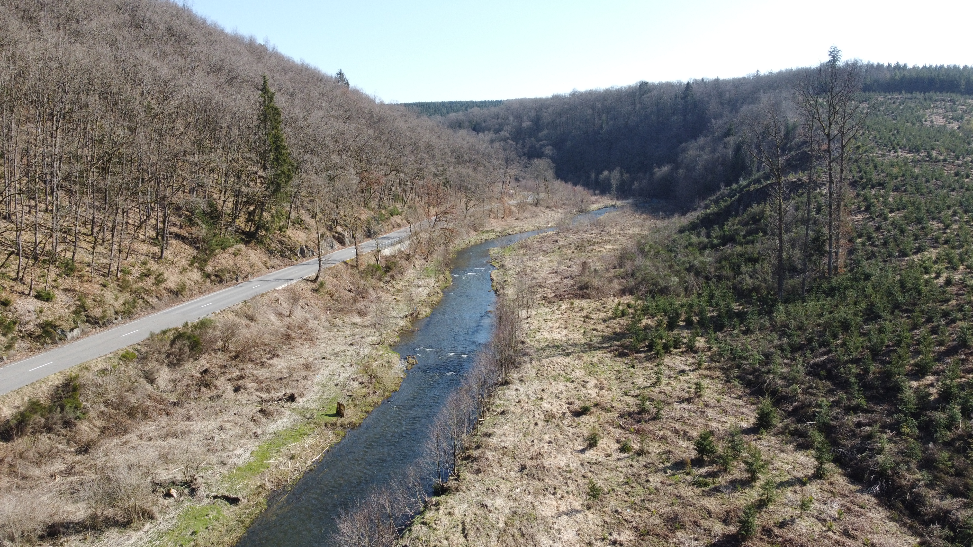 34024_Ourthe_orientale_aval_Houffalize_LL_20220325 (3)