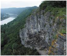 Végétation des éboulis calcaires - 8210