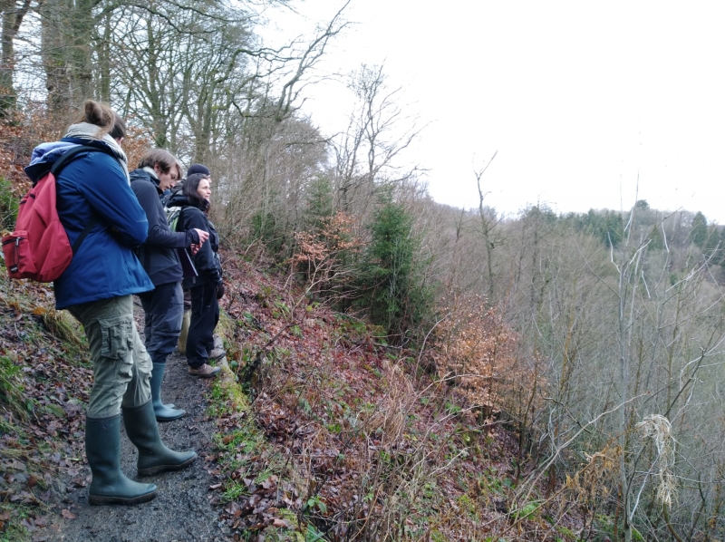 A2_Site_33042_Vallees_Warche_Beyehon_aval_Robertville_equipe_20201217_Api (21)