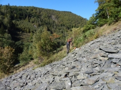 AbattagesSN_ThierCarrières_201508_GD (9).JPG