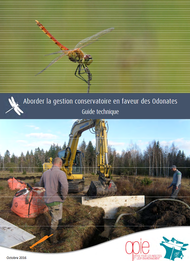 Aborder la gestion conservatoire en faveur des Odonates - Aborder-la-gestion-con