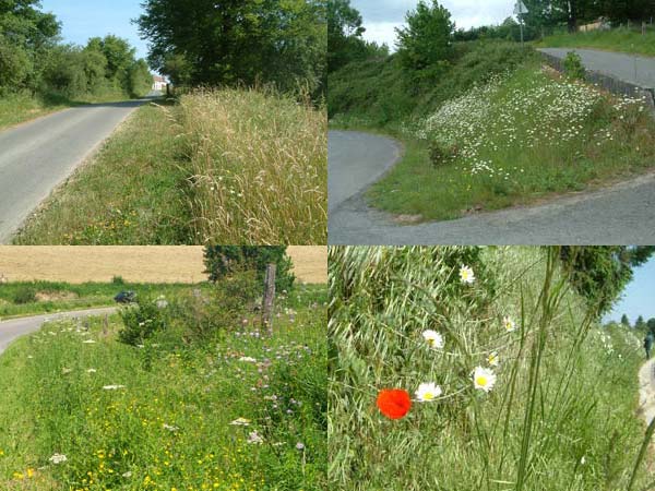 Accotements, fossés et talus des bords de routes