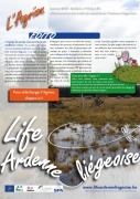 AGRIONS LIFE