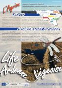 Agrion_15_mini