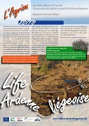 Agrion_16_mini