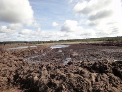 Fraisage et andains dans les Hautes-Fagnes