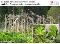 Au fil des saisons_200