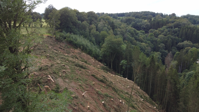 B3_Engie_Robertville_pendant_coupe_202308_LL (46)