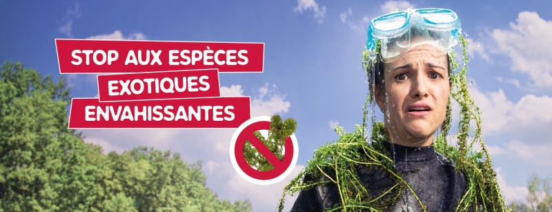 bandeau_invasives