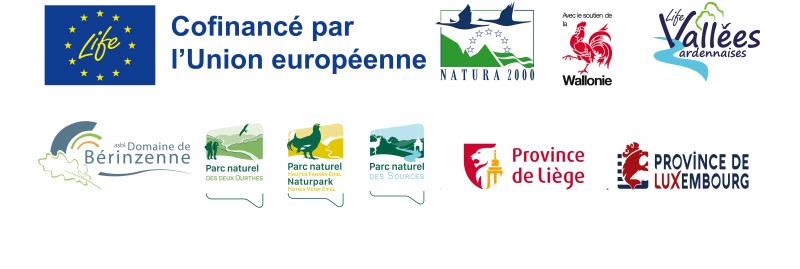 BANDEAU LOGOS 600PPP