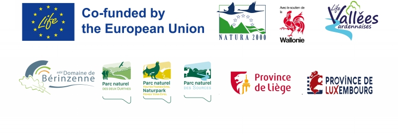 bandeau logos en-page001