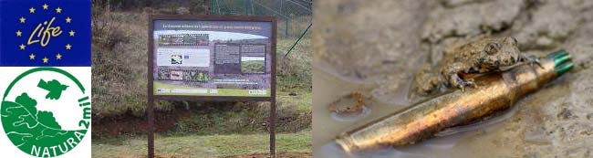 Bannière Bilan par site