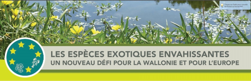 banniere-Programme_colloque EEE 17oct2016