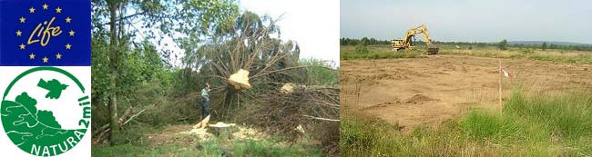 Bannière Restauration des milieux