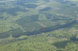 Basseilles_amont_0505 (6)_1.jpg