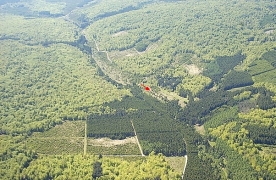 Basseilles_aval_0505 (3)_1.jpg