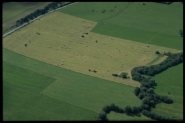 Dia 040 du PCD 1421 de Duchesnes Dia 040 du PCD 1421 de Duchesnes