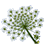 berce_det_transp_45x45
