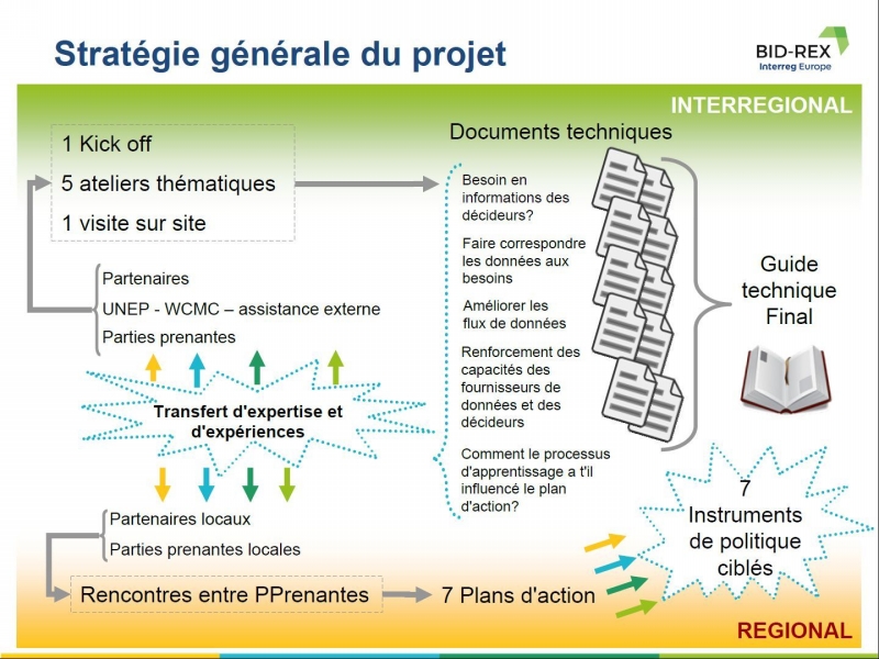 BID REX stratégie générale