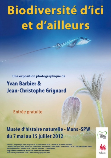 Biodiversité d'ici et d'ailleurs.jpg