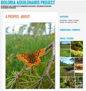 Boloria_aquilonaris project