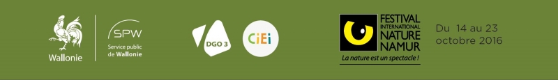bottom-Programme_colloque EEE 17oct2016