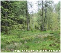 boulaies-chêanies 9190