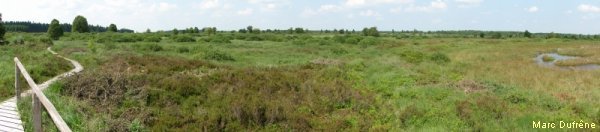 DSC00964.JPG DSC00964.JPG