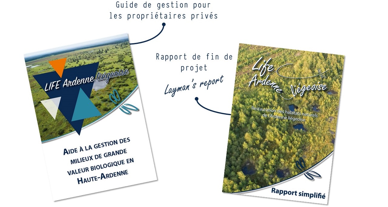 Brochures