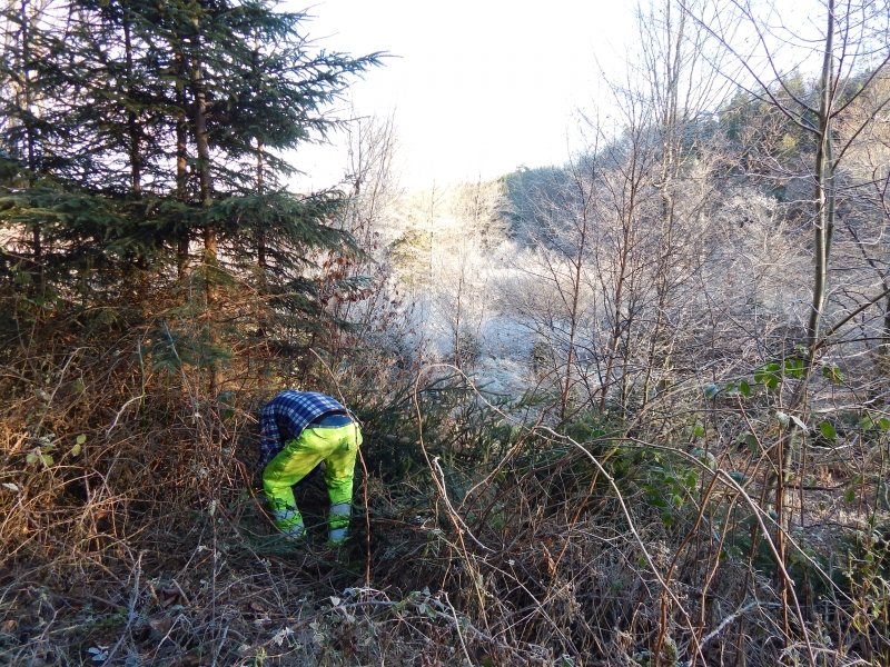 C1_Helle_Soor_202201_CT (11)