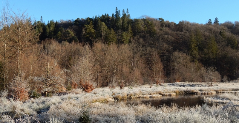 C1_Helle_Soor_202201_CT (12)