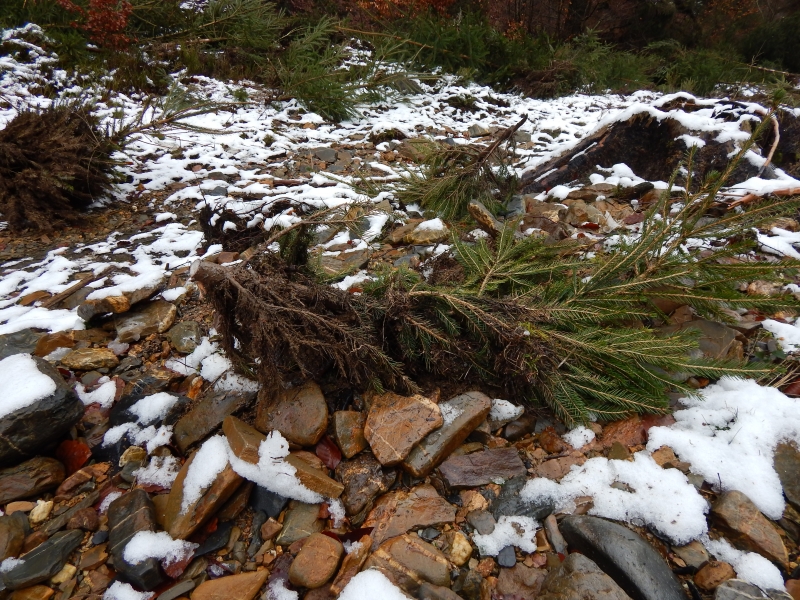 C1_Helle_Soor_202202_CT (15)