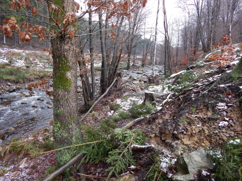 C1_Helle_Soor_202202_CT (6)