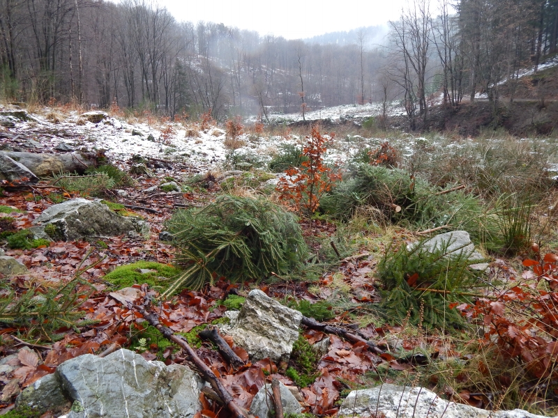 C1_Helle_Soor_202202_CT (8)