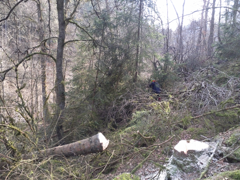 C1_Warche_Walk_pierrier_202303_CT_1