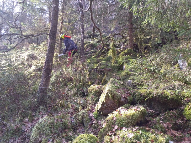 C1_Warche_Walk_pierrier_202303_CT_2